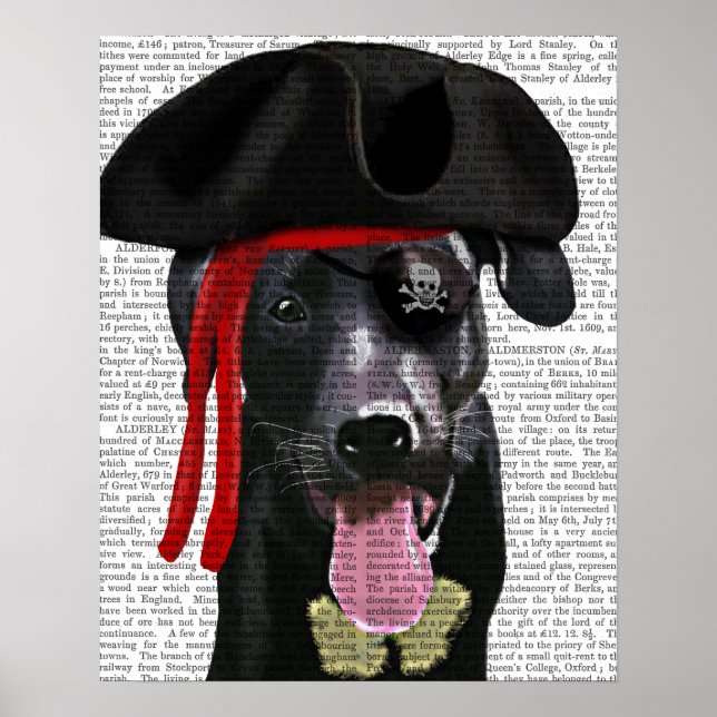 Black Labrador Pirat Poster (Framsidan)