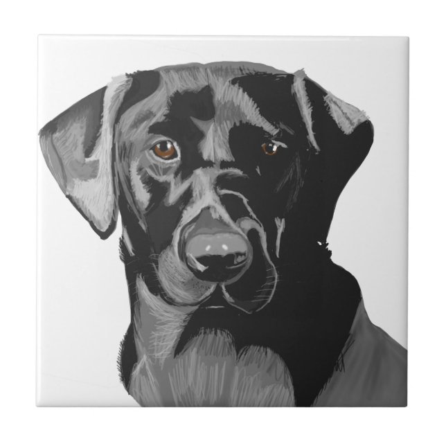 Black Labrador Porträtt  Kakelplatta (Framsidan)