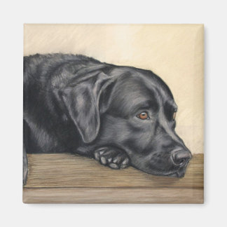 Black Labrador porträtt Magnet