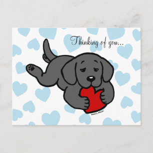 Black Labrador Puppy Chewing Heart Vykort