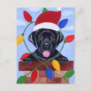Black Labrador Puppy jul Helg Vykort