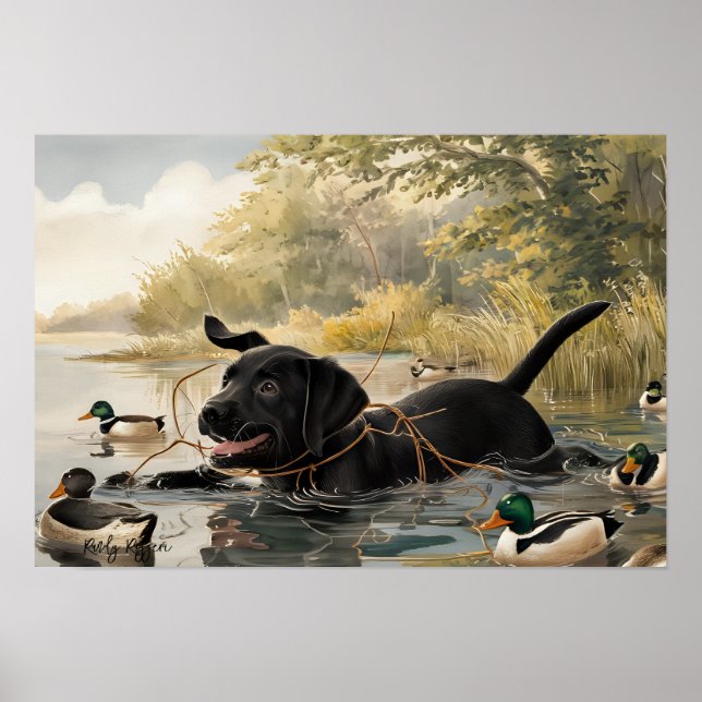 Black Labrador Puppy, Labrador Hunting Poster (Framsidan)
