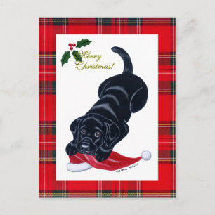 Black Labrador Puppy & Santa Hat-jul Helg Vykort