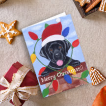 Black Labrador Puppy Santa jul