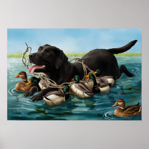 Black Labrador Retriever, Anka Hunters Poster