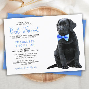 Black Labrador Retriever Baby Shower Cute Simple Inbjudningar