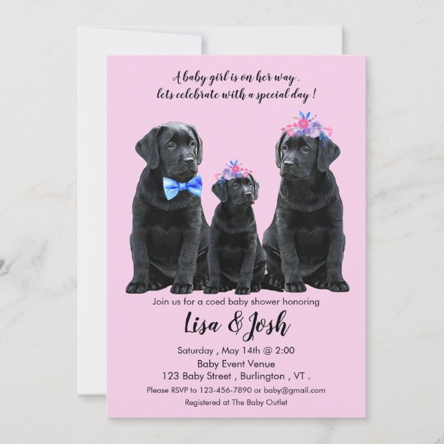 Black Labrador Retriever Baby Shower-inbjudan Meddelande (Framsida)