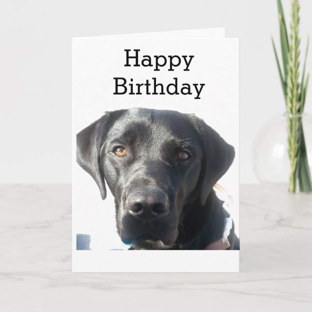 Black Labrador Retriever Grattis på födelsedagen Kort (Framsida)
