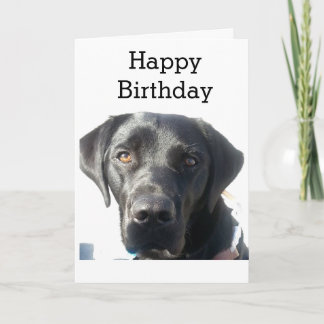 Black Labrador Retriever Grattis på födelsedagen Kort