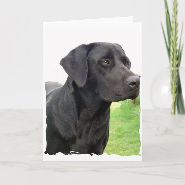 Black Labrador Retriever Greeting Card Kort (Framsida)