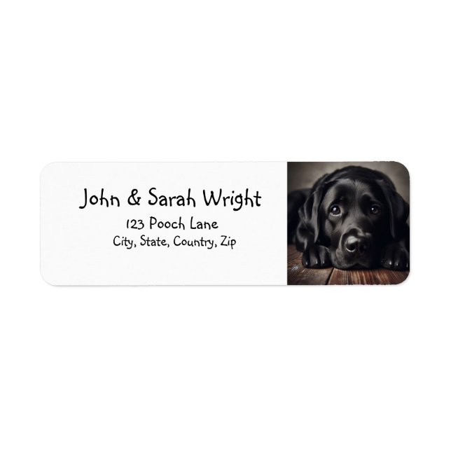 Black Labrador Retriever Hund Address Label Returadress Etikett (Framsidan)