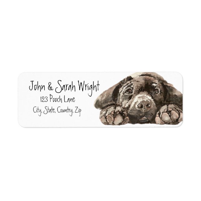 Black Labrador Retriever Hund Address Label Returadress Etikett (Framsidan)