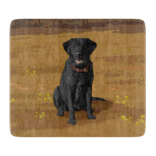 Black Labrador Retriever Hund älskare Gift