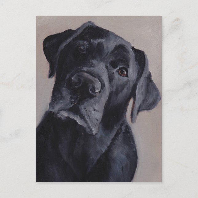 Black Labrador Retriever Hund Art-vykort Vykort (Framsida)