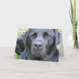 Black Labrador Retriever Hund Greeting Card Kort