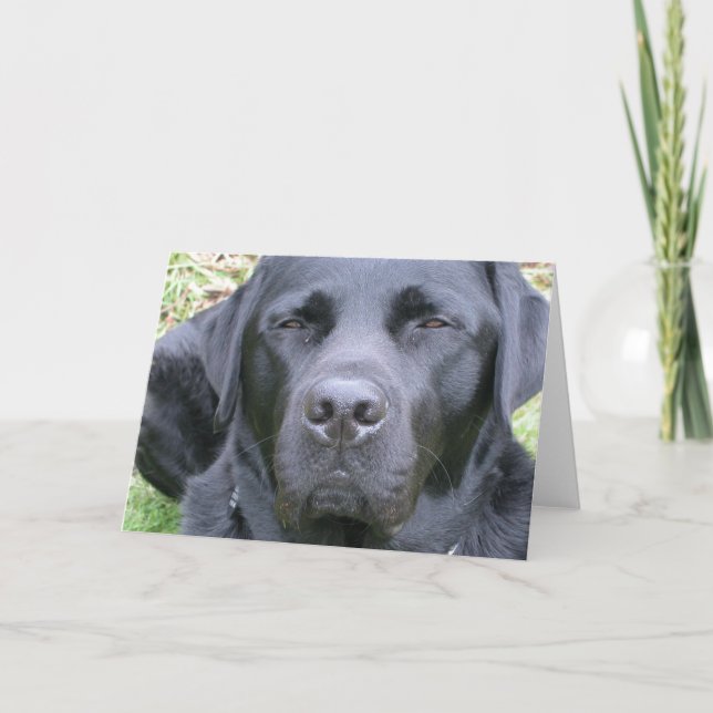 Black Labrador Retriever Hund Greeting Card Kort (Framsida)