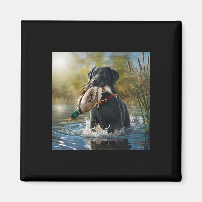 Black Labrador Retriever Hund som jagar Ankor i en Magnet (Framsidan)
