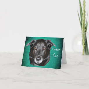 Black Labrador Retriever Hund - tackkort
