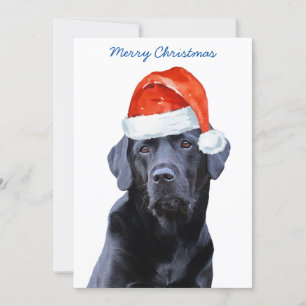 Black Labrador Retriever jul Cute Santa Hund Inbjudningar