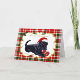 Black Labrador Retriever jul Tartan Helgkort