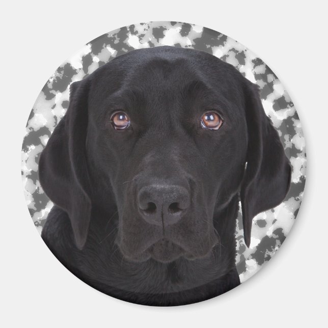 Black Labrador Retriever Magnet (Framsidan)