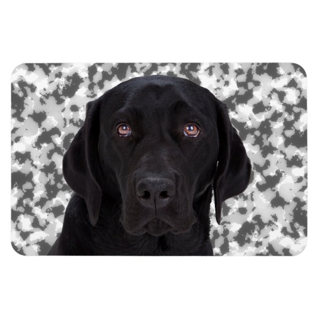Black Labrador Retriever Magnet (Horisontell)
