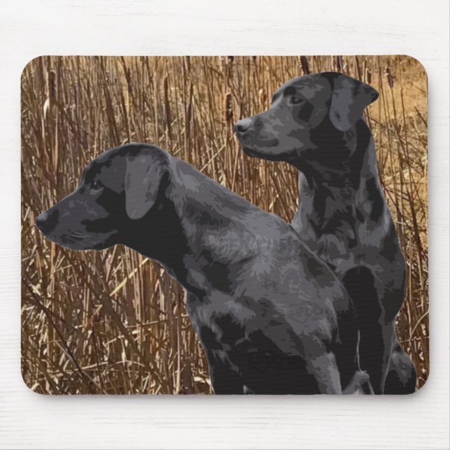Black Labrador Retriever Musmatta (Framsidan)