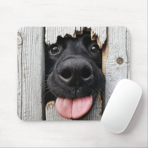 Black Labrador Retriever Nose i Wood Hål Musmatta