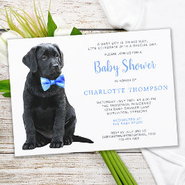 Black Labrador Retriever Puppy Blue Baby Shower Inbjudningar