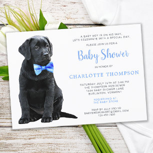 Black Labrador Retriever Puppy Blue Baby Shower Inbjudningar