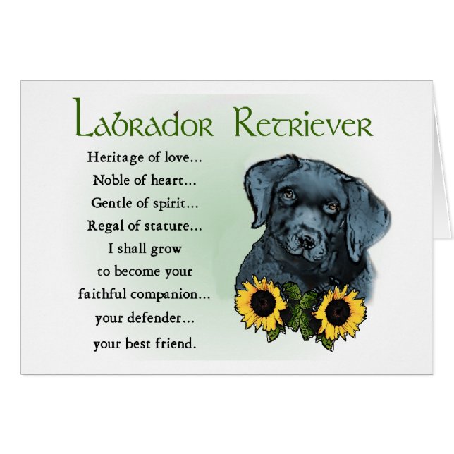 Black Labrador Retriever Puppy Gifts Hälsningskort (Framsidan Horizontal)