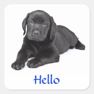 Black Labrador Retriever Puppy Hej Sticker Fyrkantigt Klistermärke