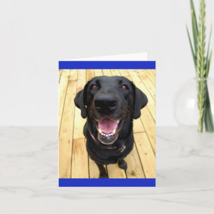 Black Labrador Retriever Puppy Hund Blank Notecard Kort