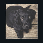 Black Labrador Retriever Puppy på Wood Anteckningsblock<br><div class="desc">Black Labrador Retriever Puppy på Wood</div>