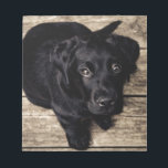 Black Labrador Retriever Puppy på Wood Anteckningsblock<br><div class="desc">Black Labrador Retriever Puppy på Wood</div>