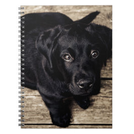 Black Labrador Retriever Puppy på Wood Anteckningsbok