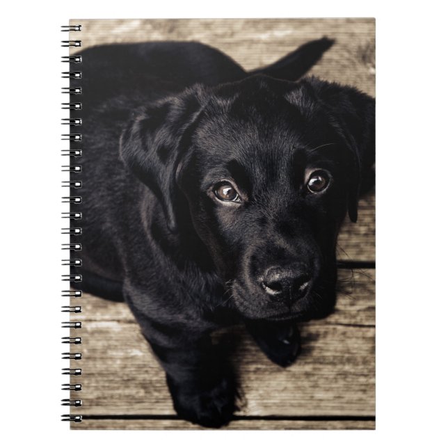 Black Labrador Retriever Puppy på Wood Anteckningsbok (Framsidan)