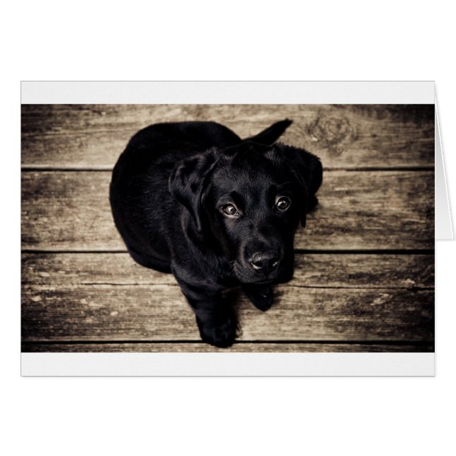 Black Labrador Retriever Puppy på Wood Hälsningskort (Framsidan Horizontal)