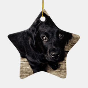 Black Labrador Retriever Puppy på Wood Julgransprydnad Keramik