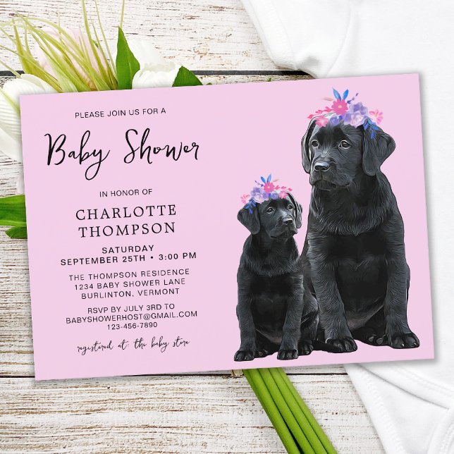 Black Labrador Retriever Puppy Rosa Girl Girl Inbj (Skapare uppladdad)