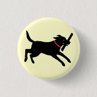 Black Labrador Retriever Running | Lycklig Black H