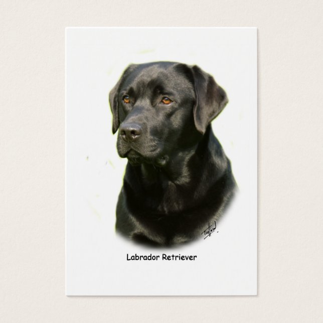 Black Labrador Retriever Visitkort (Framsidan)