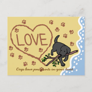 Black Labrador Sand Brev Tecknad Vykort