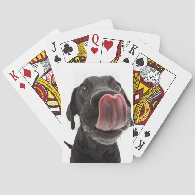 Black Labrador Slickar sin näsa Casinokort (Baksidan)