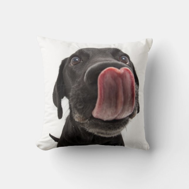 Black Labrador Slickar sin näsa Kudde (Framsida)