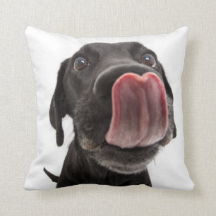 Black Labrador Slickar sin näsa Kudde