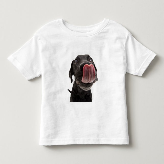 Black Labrador Slickar sin näsa T Shirt (Framsida)