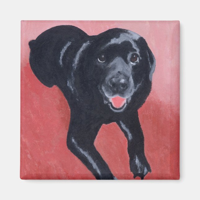Black Labrador Smiling Magnet (Framsidan)