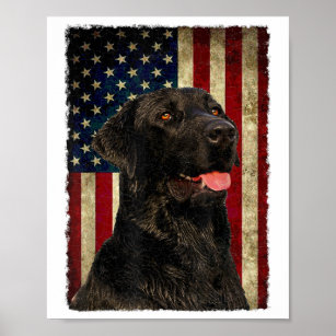Black Labrador T Shirt Gift USA flagga Lab Owner D Poster