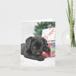Black Labrador-valp med Julklapp Tack Kort